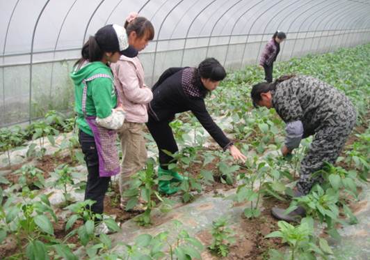 專業教師深入基層進行技術指導1